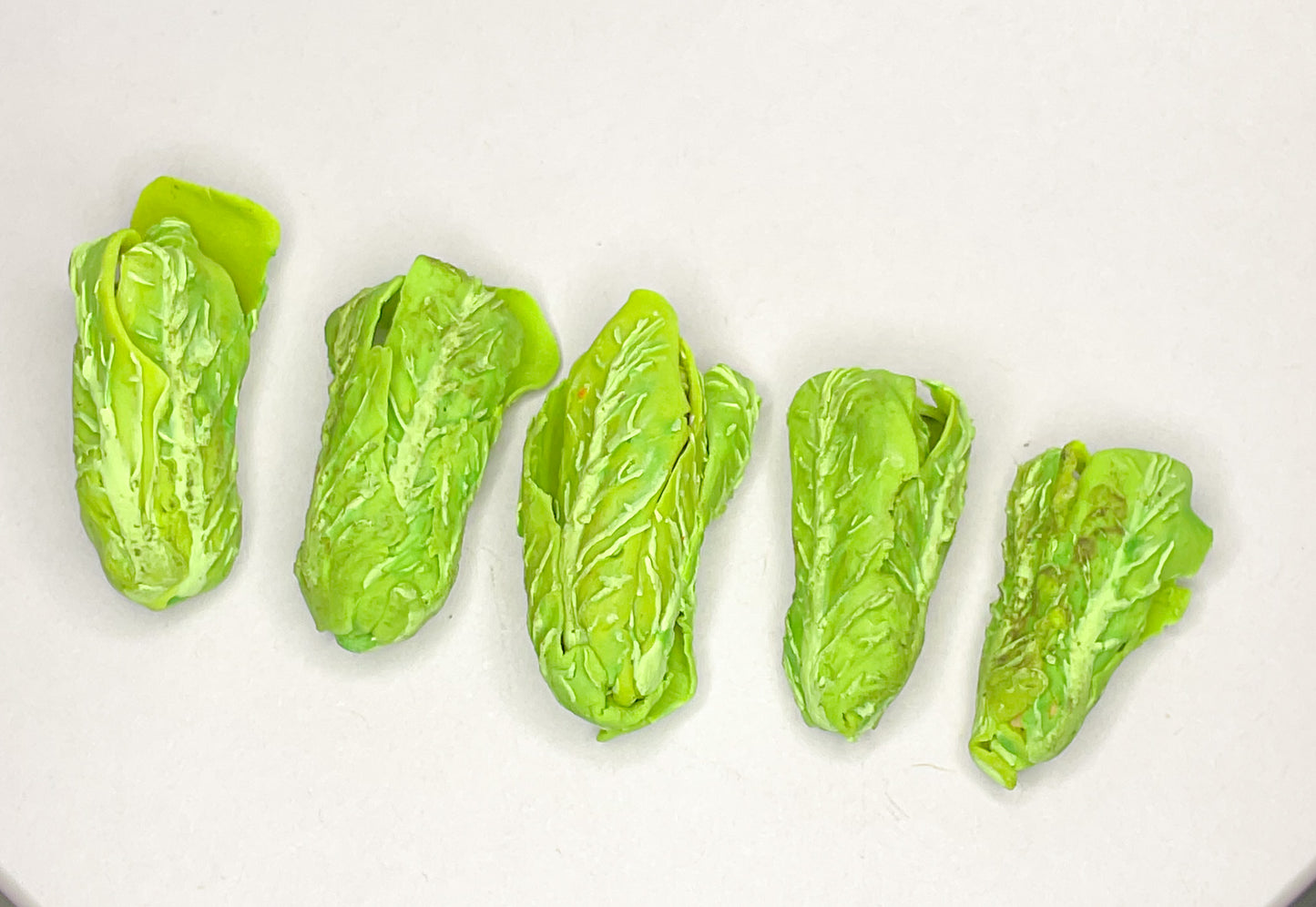Ice Berg Lettuce Miniatures