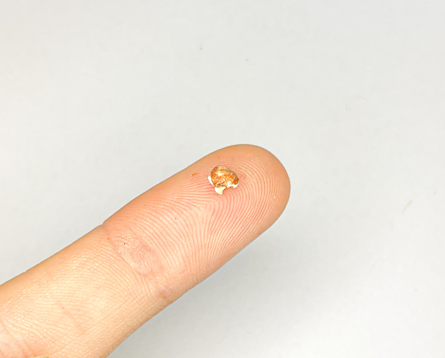 Mushroom Miniatures