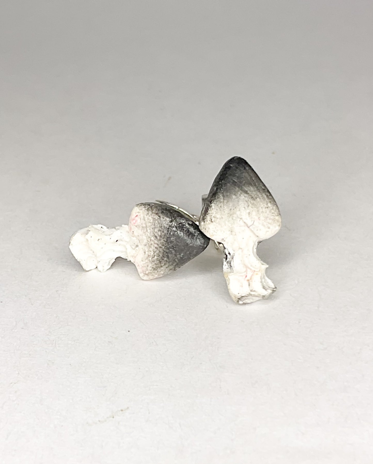 Ink cap mushrooms