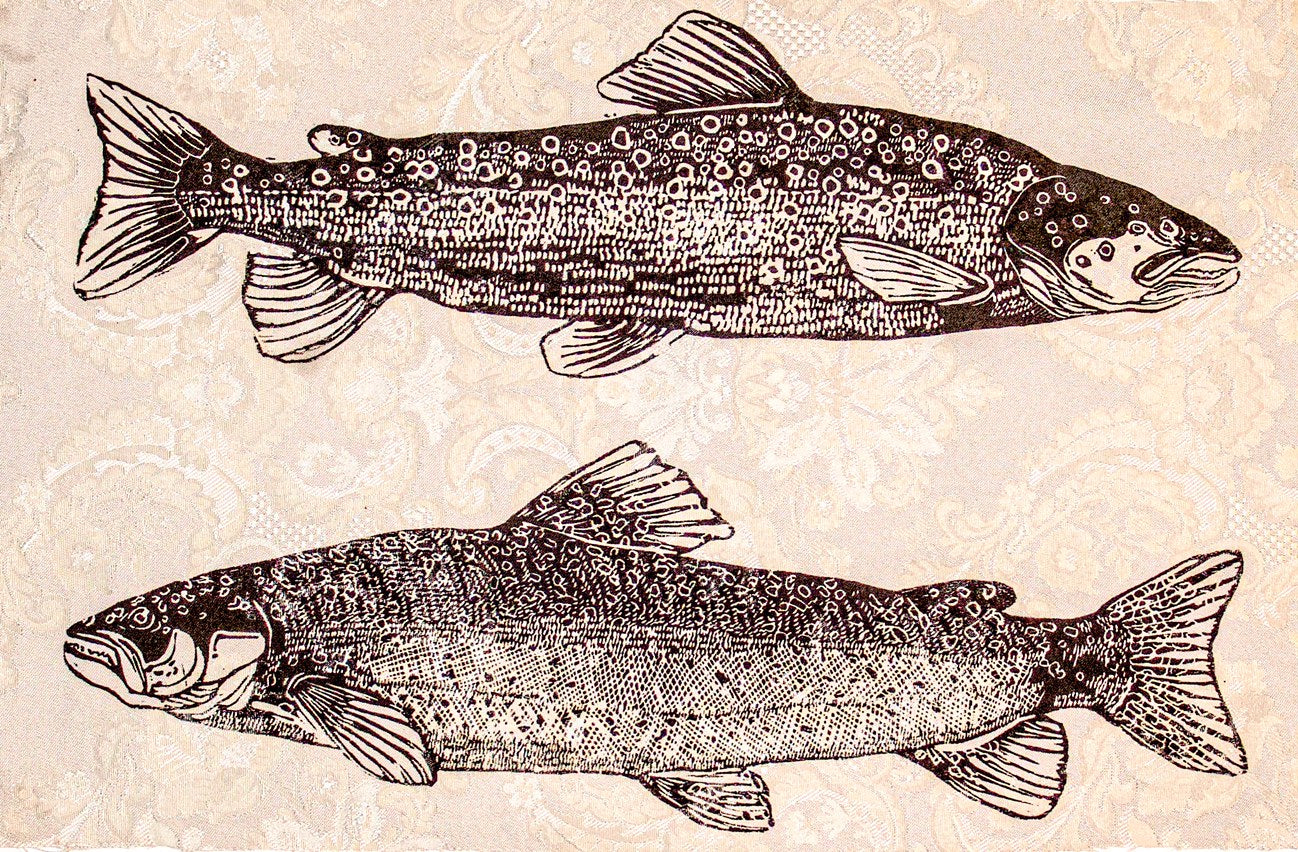Embroidery Trout